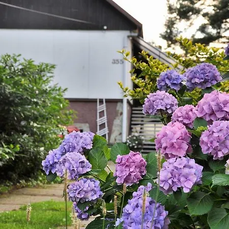 ゲストハウス Wanda